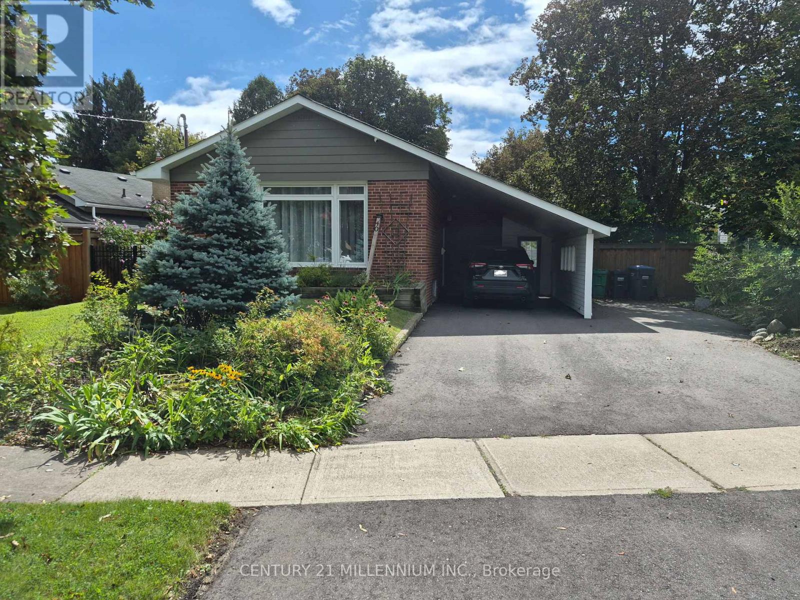 40 Meadowland