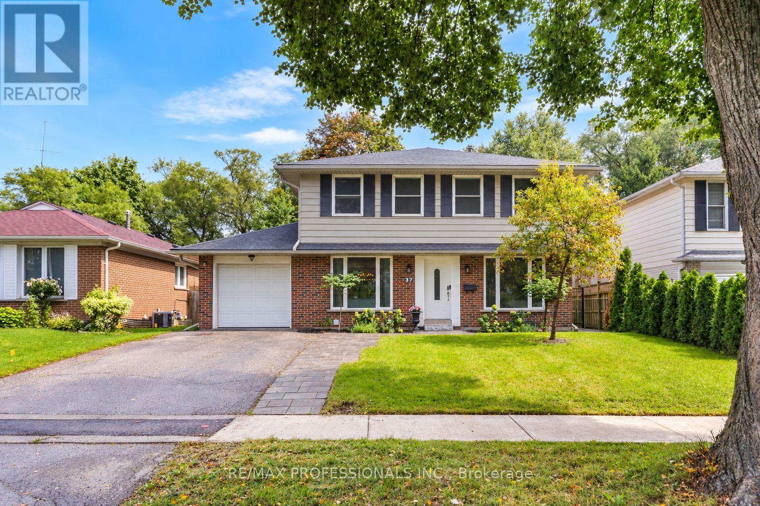 37 Birchleaf