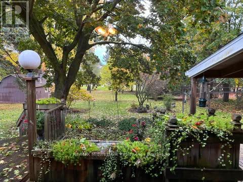 69 Louise photo 4
