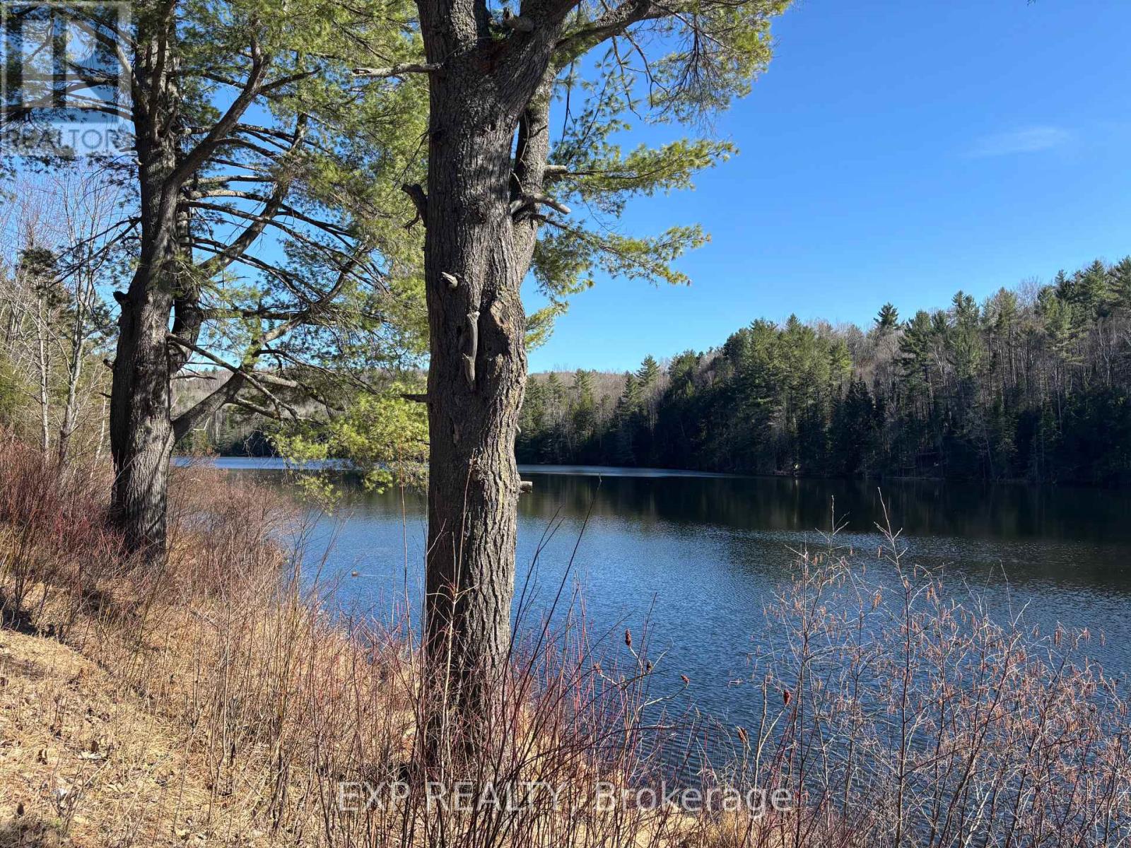 000 Opeongo