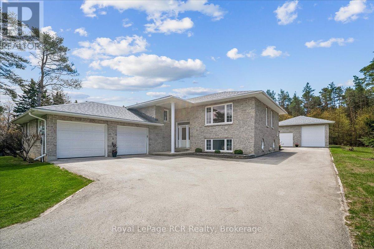 30 Pine Tree