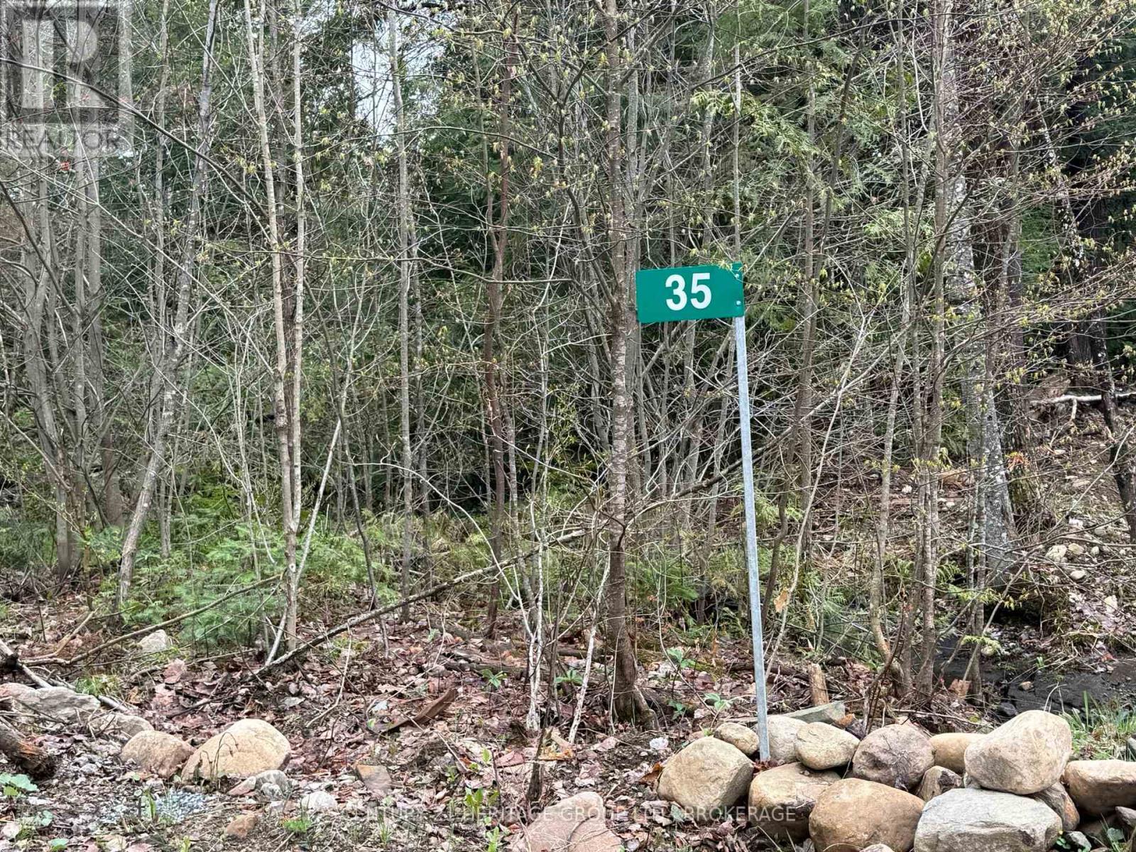 35 Maple View