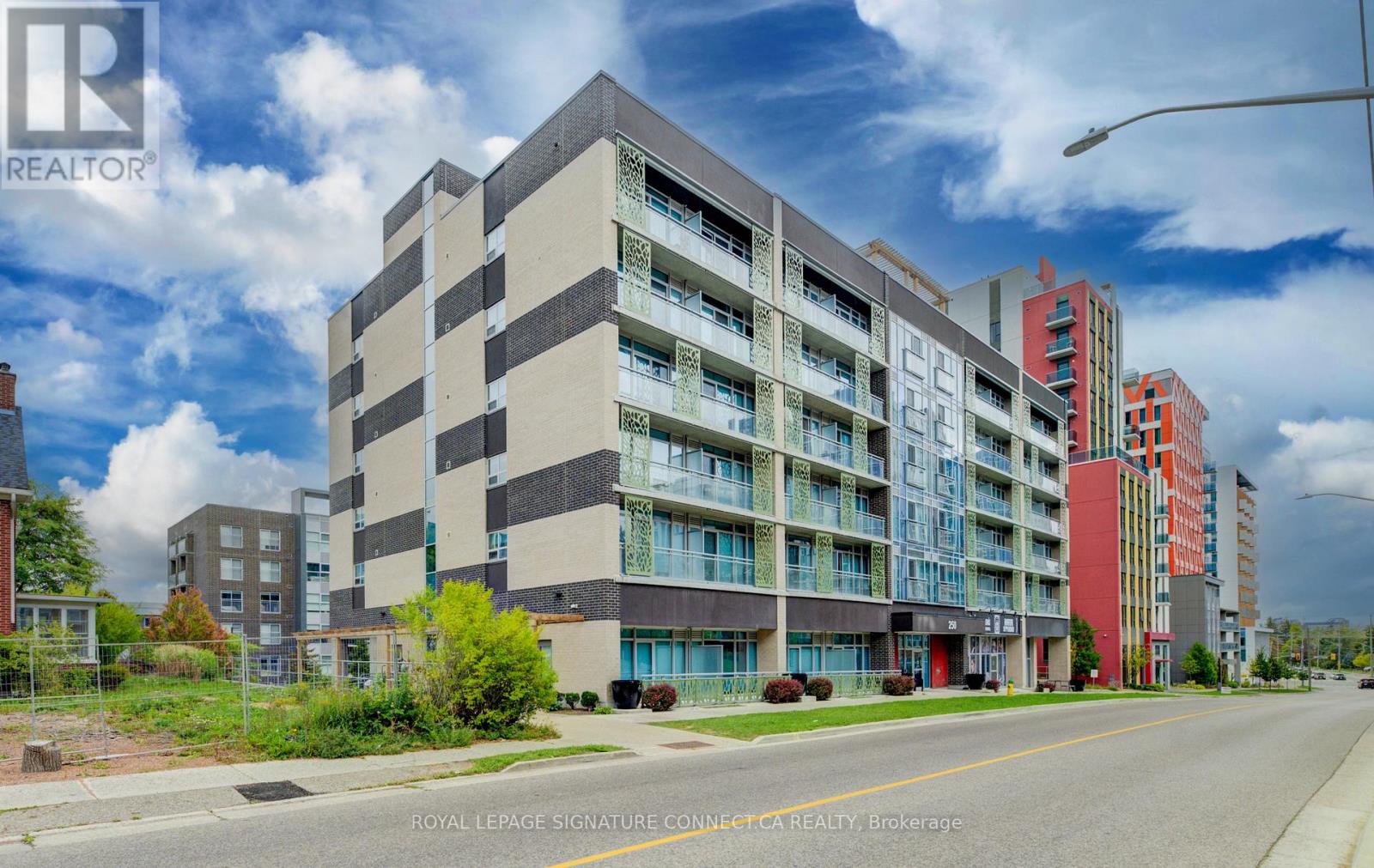 250 Albert Unit 203