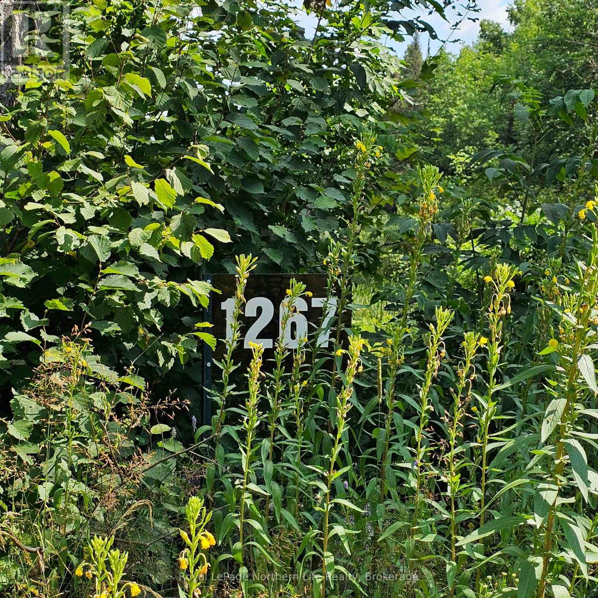 1267 SNAKE CREEK