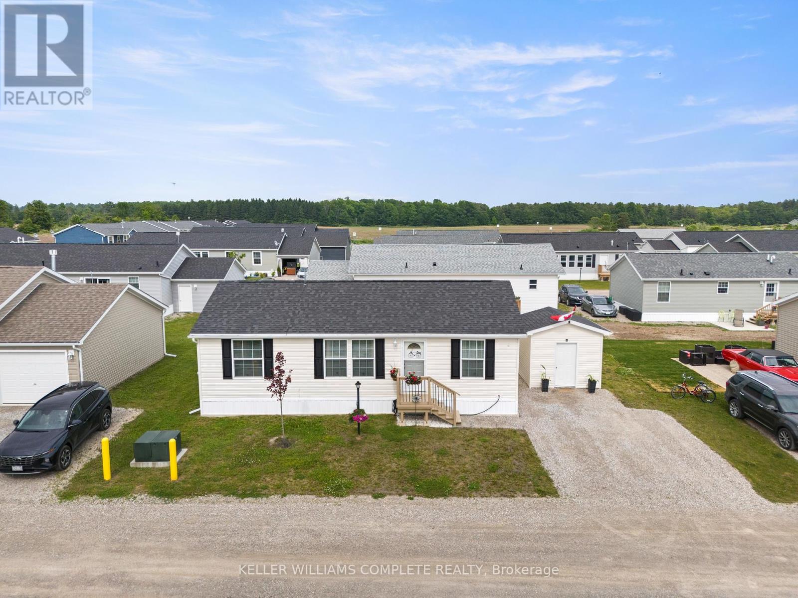 22 Copper Beech