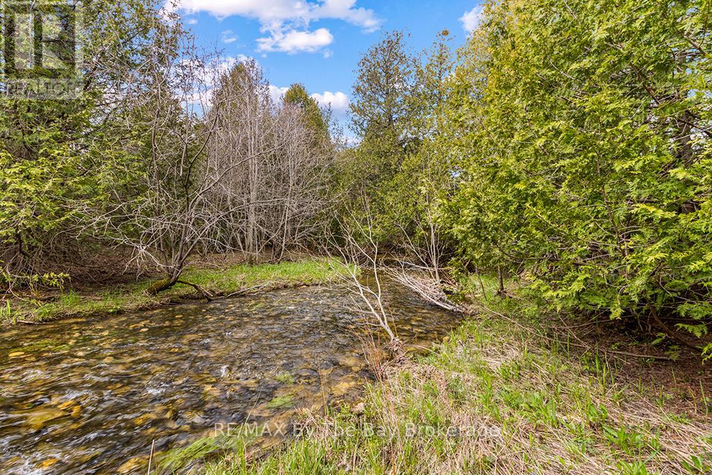 353814 Osprey Artemesia photo 5