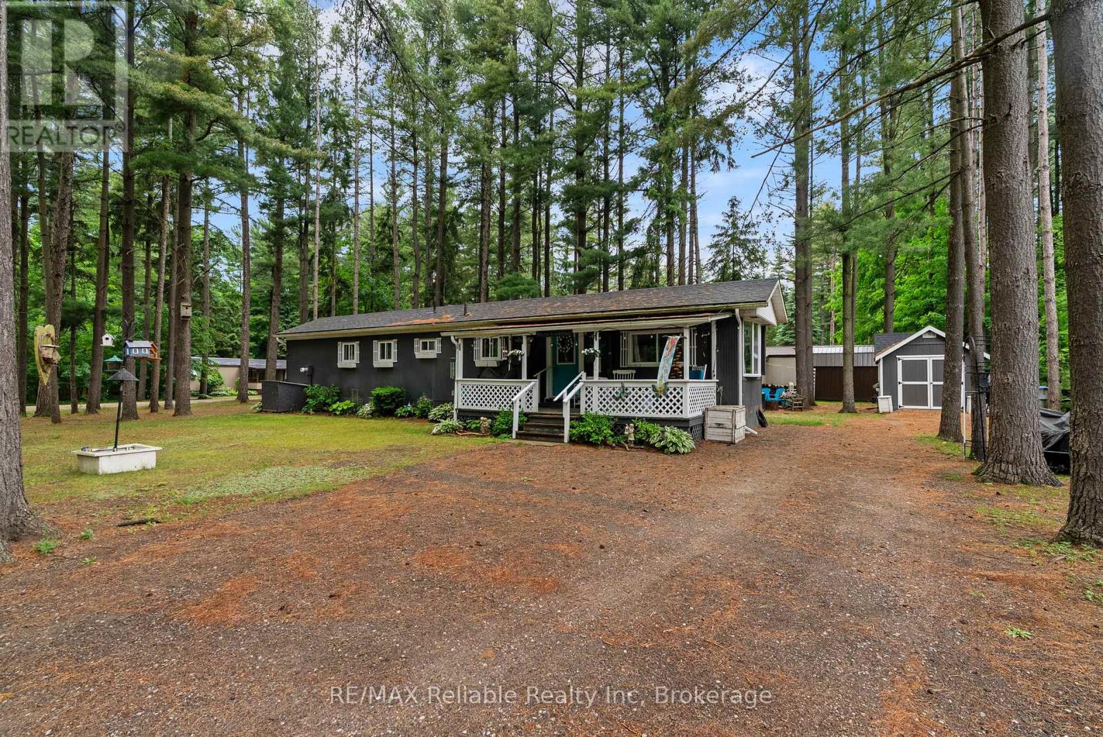 401 Sugar Maple