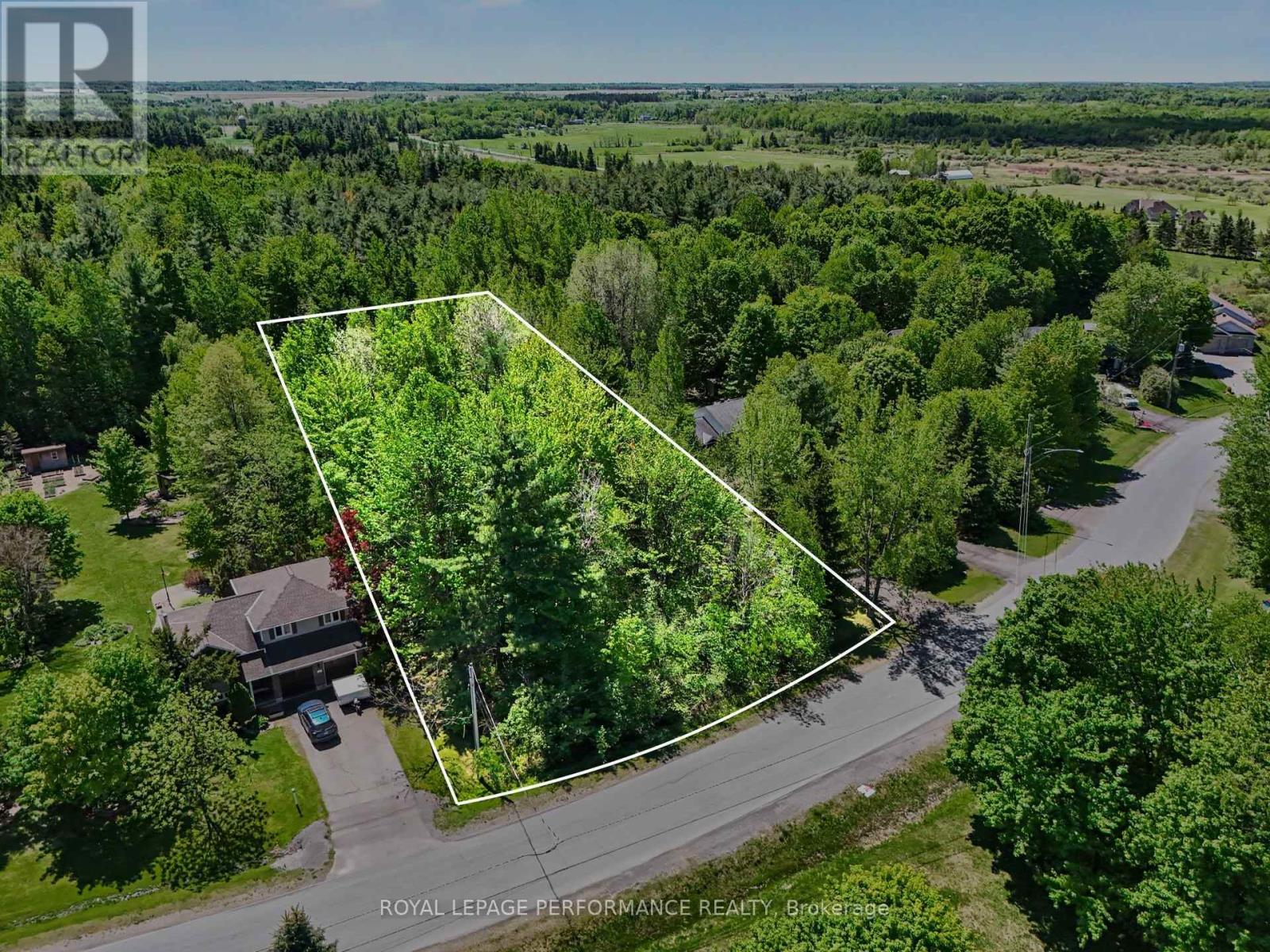 LOT 20 Cardinal