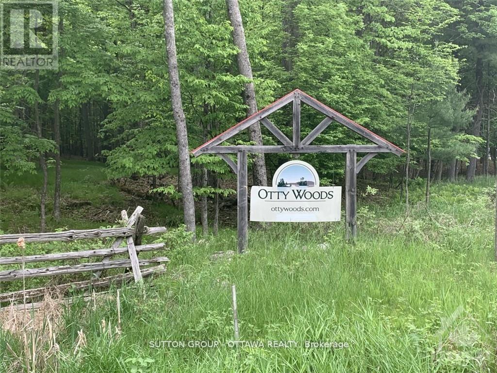 2 Maple Bush