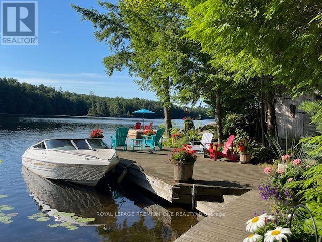 219 Crane Lake Water