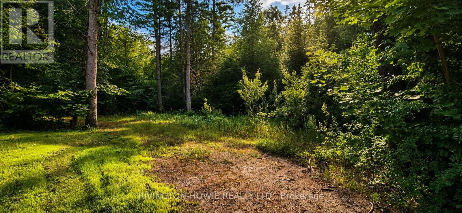 5045 Opeongo photo 4