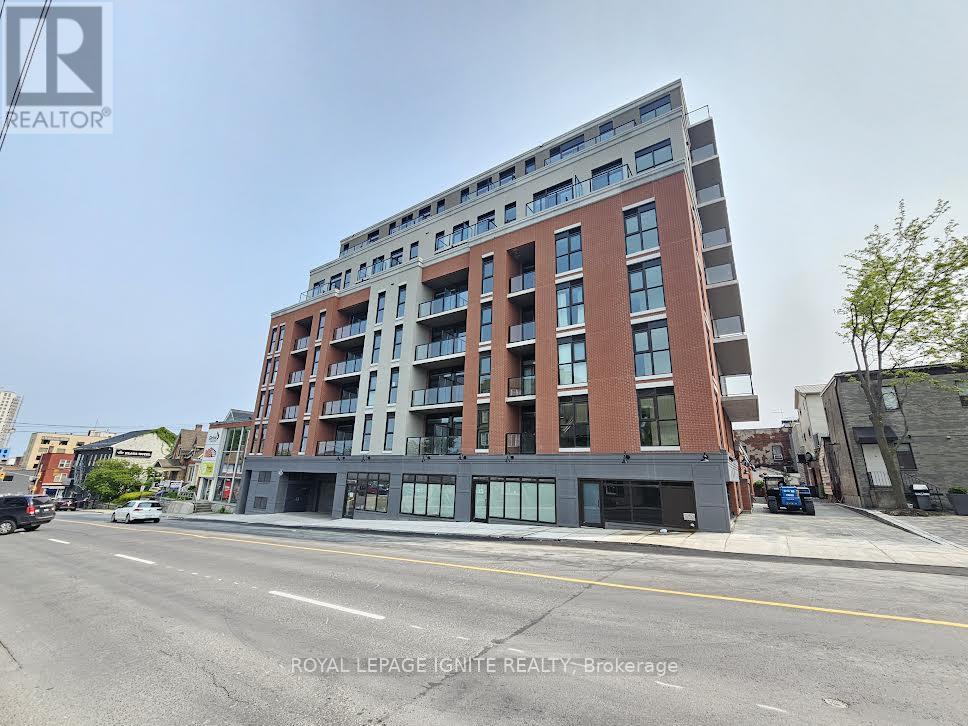 223 Princess Unit 529