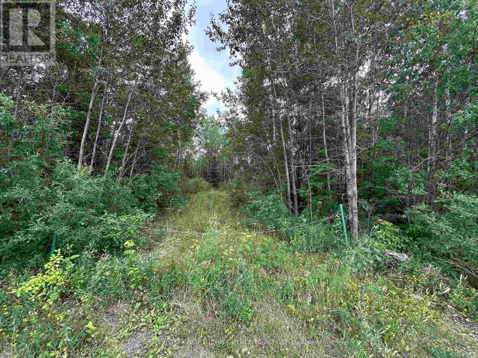 905 Frog Creek photo 2