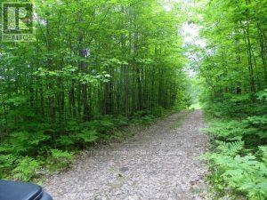 50 Acres in Muskoka North of Bala - PCL 31045