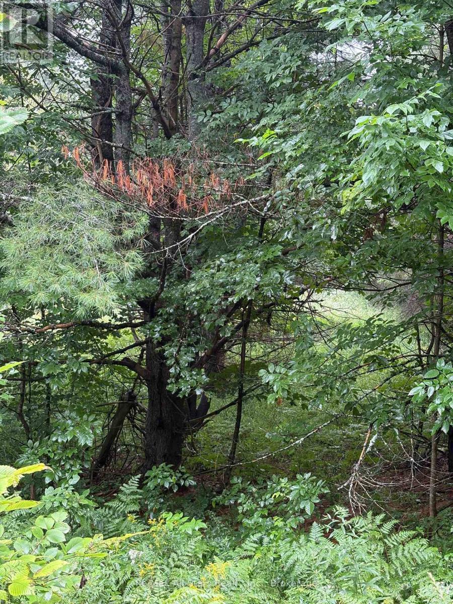 958 North Mary Lake photo 2