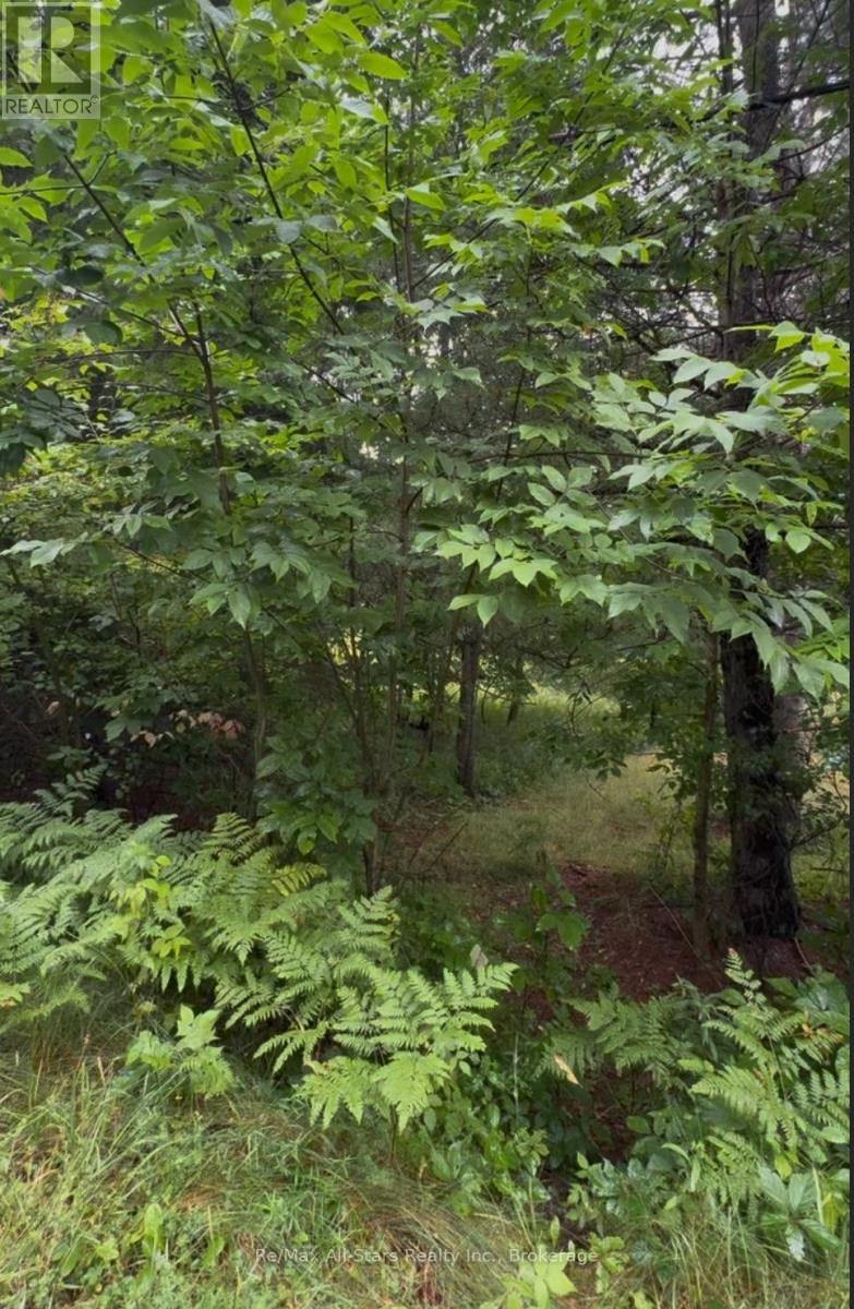 958 North Mary Lake photo 3