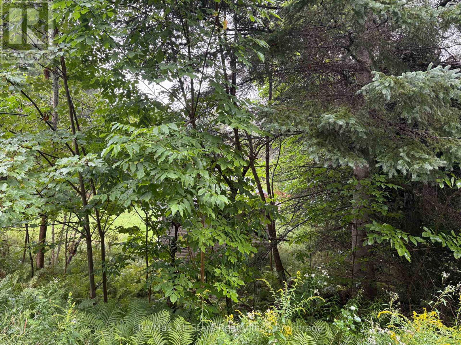 958 North Mary Lake photo 4