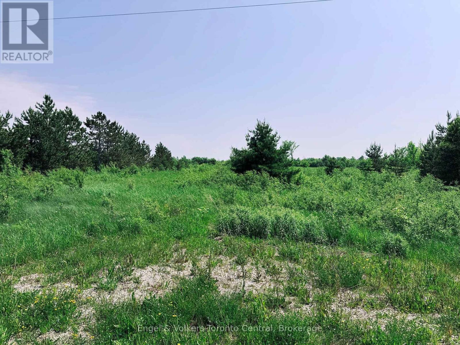121 Robertson photo 4