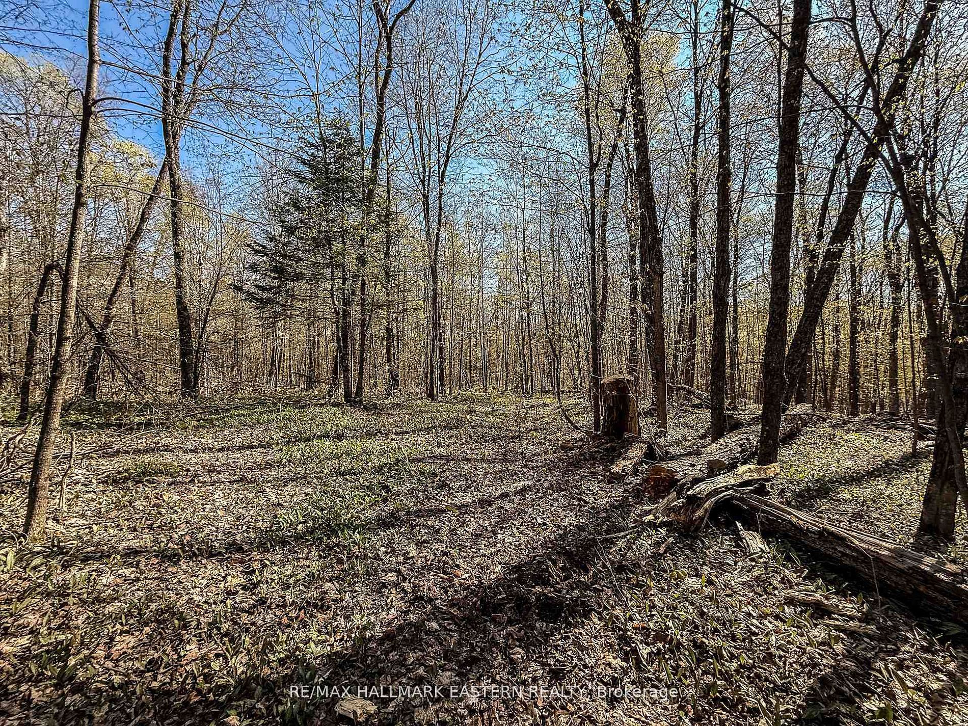 2494 Hadlington