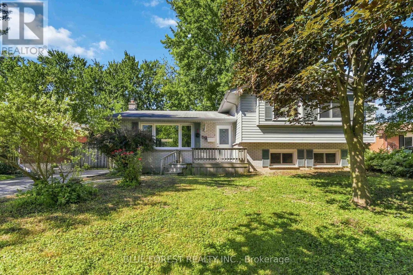 59 Scotchpine