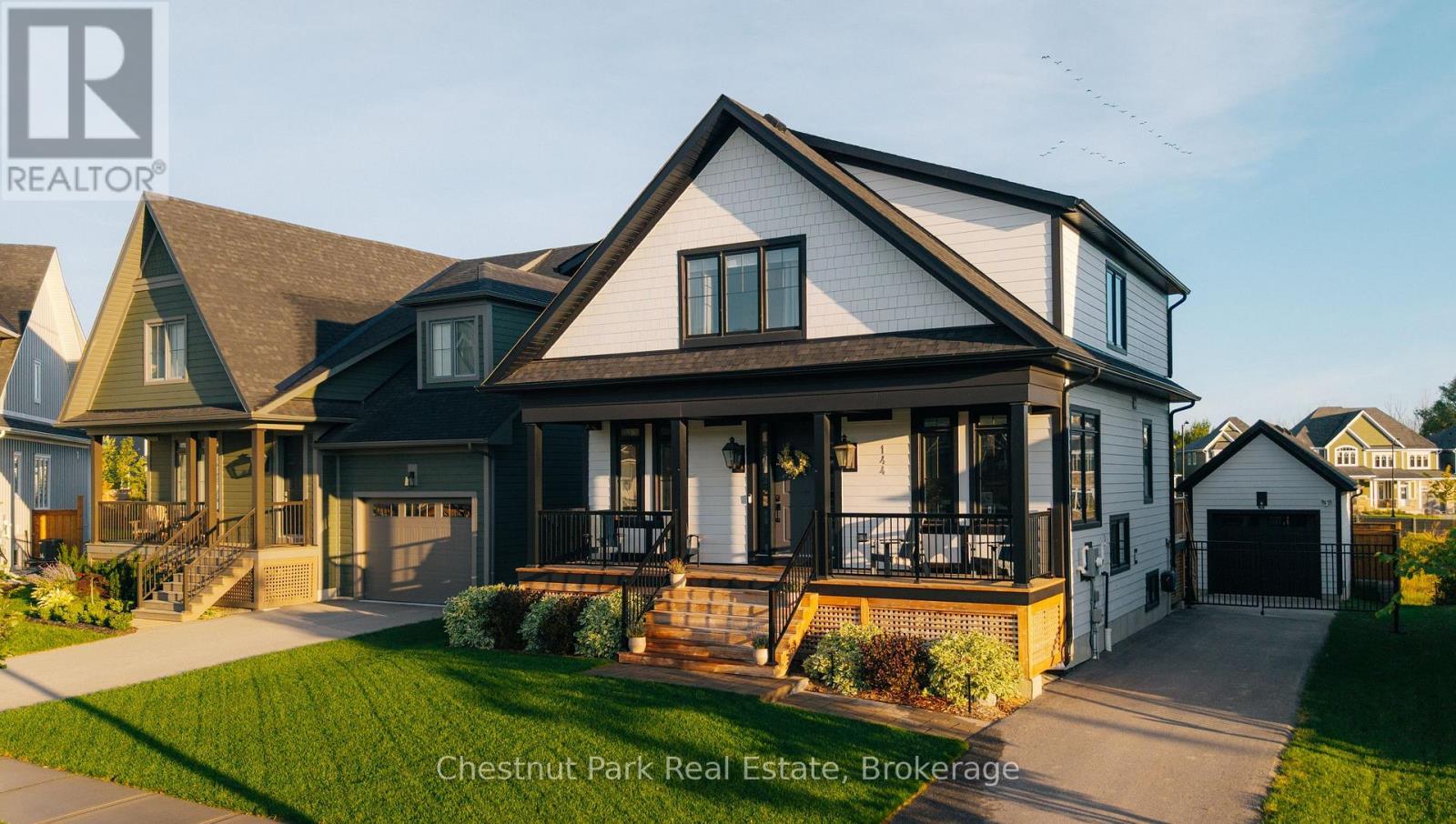 144 Black Willow