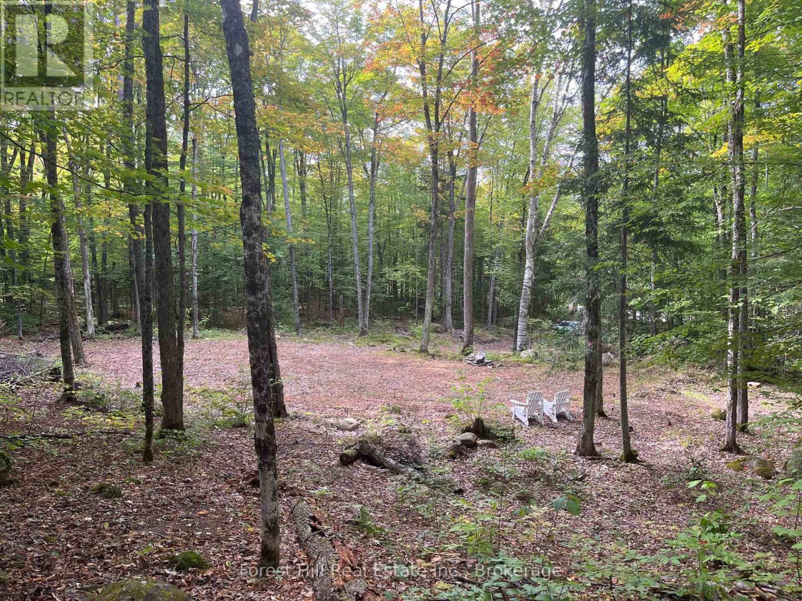 4488 Kawagama Lake photo 4