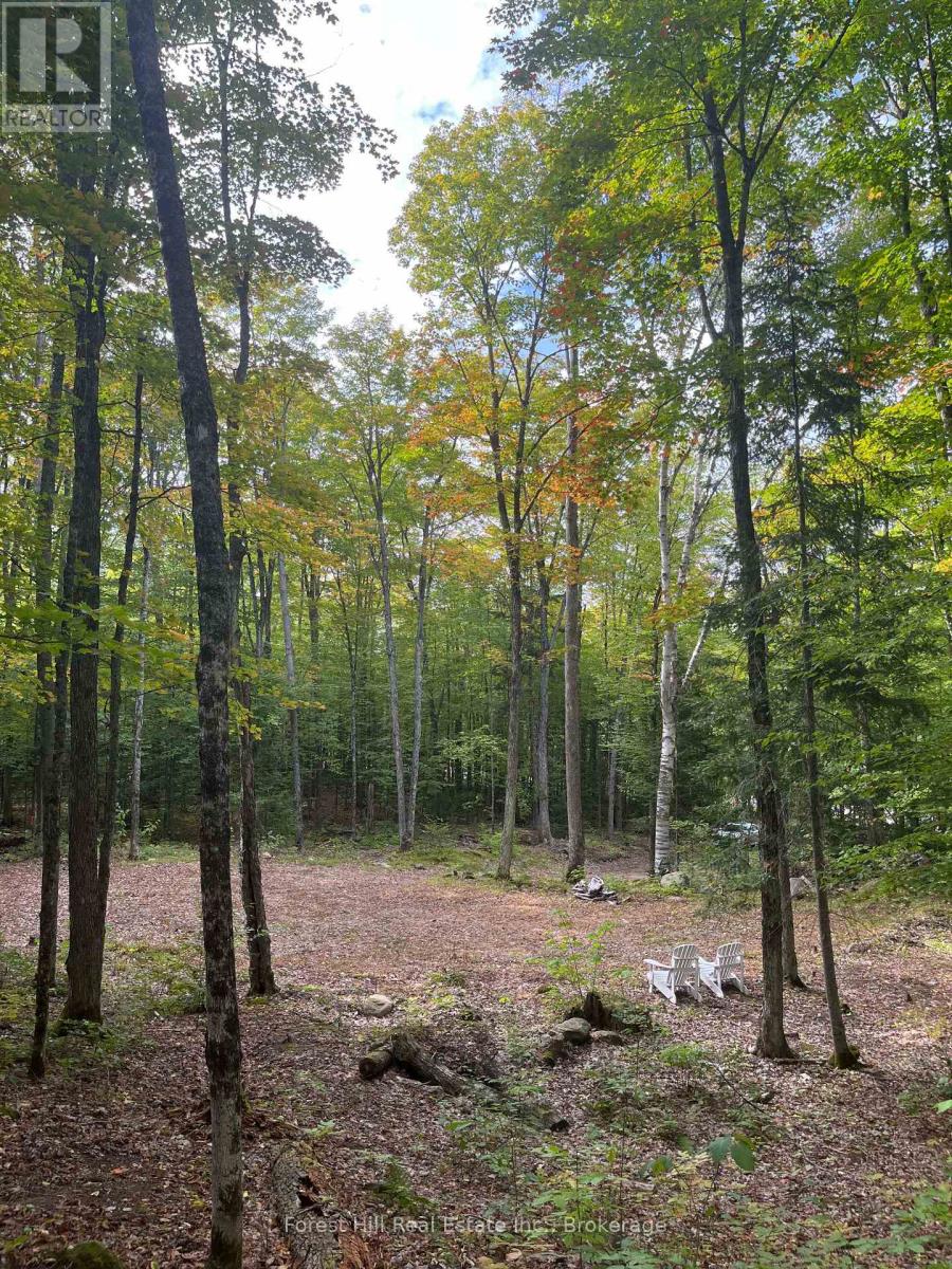 4488 Kawagama Lake photo 5