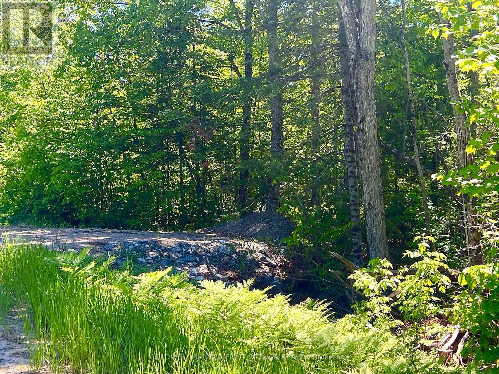 00 Buckshot Lake